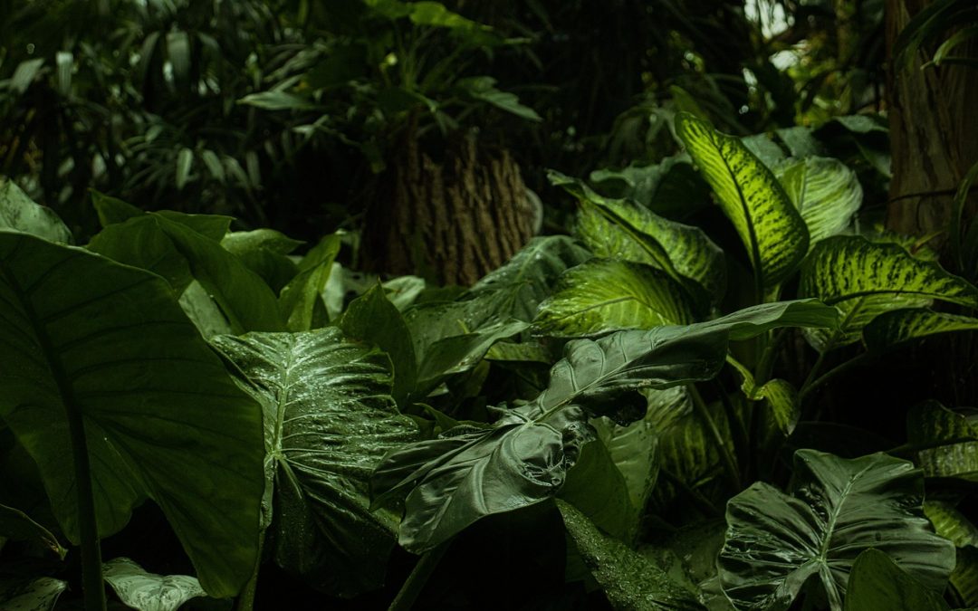 Le web comme un voyage