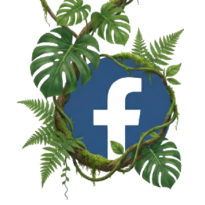 Icône Facebook - Iterrenet