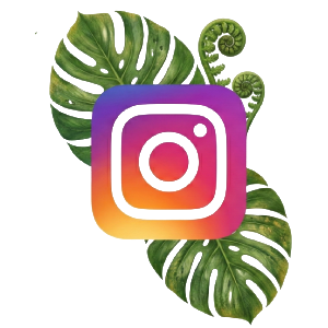 Icône Instagram - Agence Iterrenet