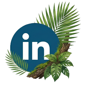 Icône LinkedIn - Pierre Leroy