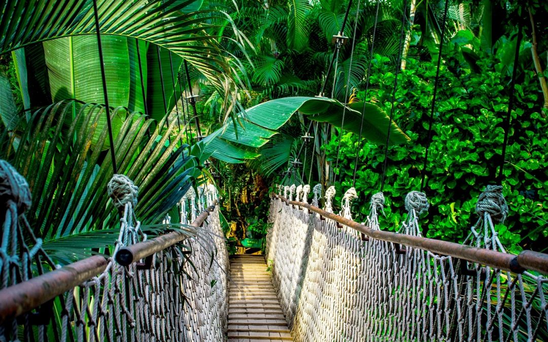 Maintenance site internet