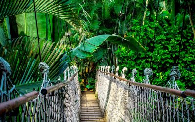 Maintenance site internet